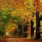 Consigli di giardinaggio per il mese di Ottobre