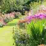 Cespugli, aiuole e siepi: il giardino riprende vita