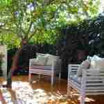 Alberi da frutto, per un giardino che non sia solo fioritura