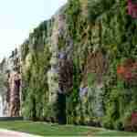 Scopriamo insieme il ‘Giardino Verticale’