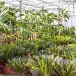 Il Giardino Sostenibile