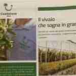 Il Giornale dell'Agricoltura racconta Vivai Cantatore