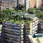 Tetti verdi e verde urbano