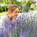 Giardini a bassa manutenzione e impatto idrico con un tocco di colore: 8 Piante Mediterranee