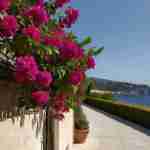 Come Creare un Giardino Mediterraneo